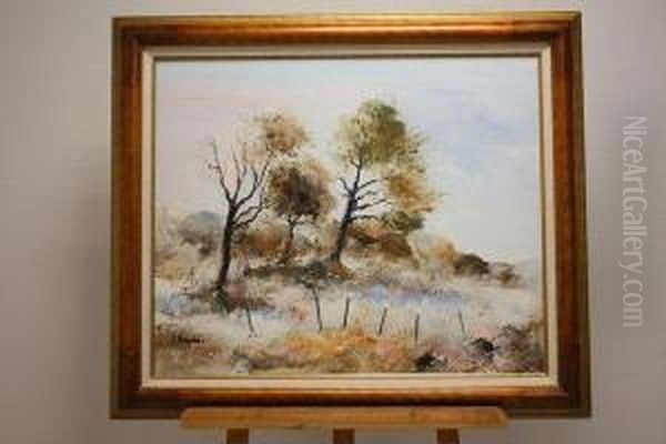 Paysage - view 1