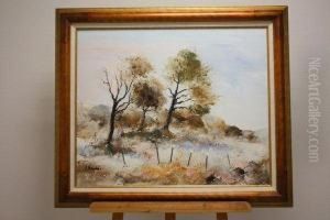 Paysage Paysage