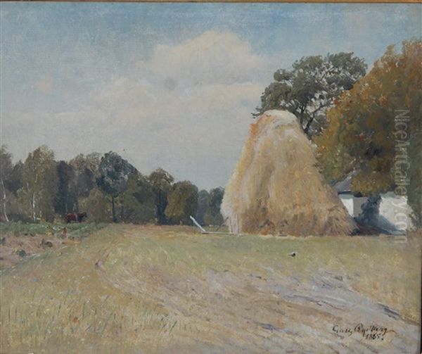 Sommarlandskap - view 1
