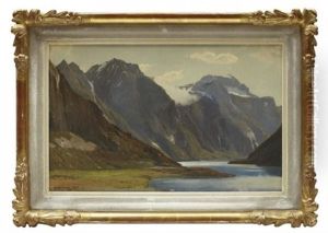 Norskt Fjordlandskap