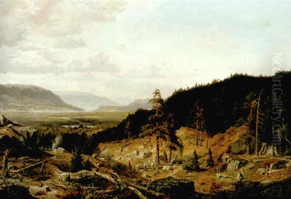 Skogsfallning - view 1
