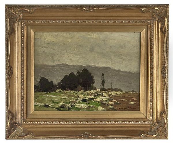 Rocky Landscape - view 1