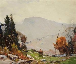 Hills And Pastures