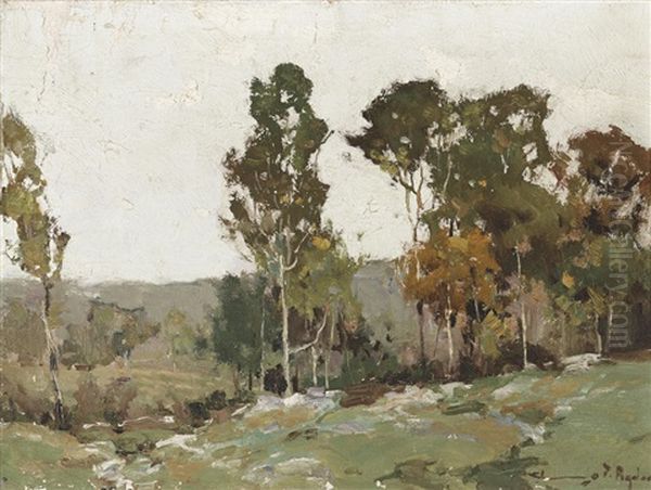 Eucalyptus Trees - view 1