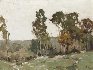 Eucalyptus Trees by Chauncey Foster Ryder