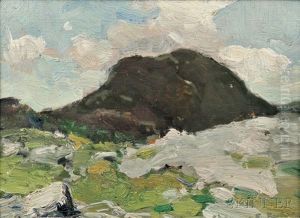 Nose In Shadow, Mount Mansfield, Vermont