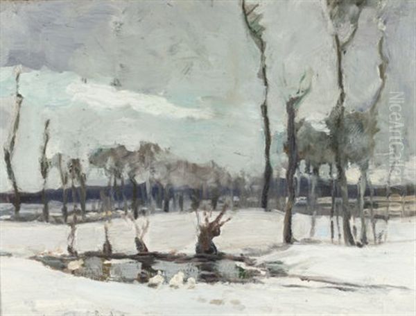 Winter Landscape With Pond - view 1