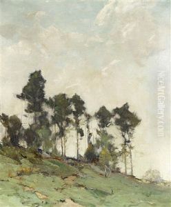 Hillside With Trees Hillside With Trees