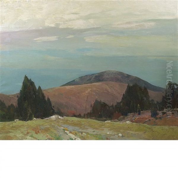 Mount Lovewell Near Hillsborough, New Hampshire - view 1