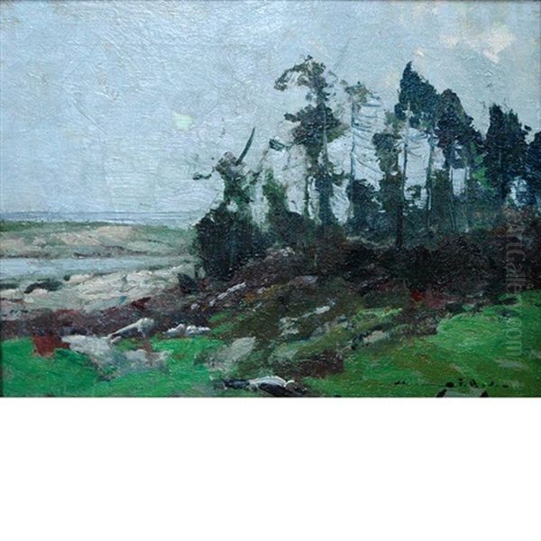 Pines On The Hillside - view 1