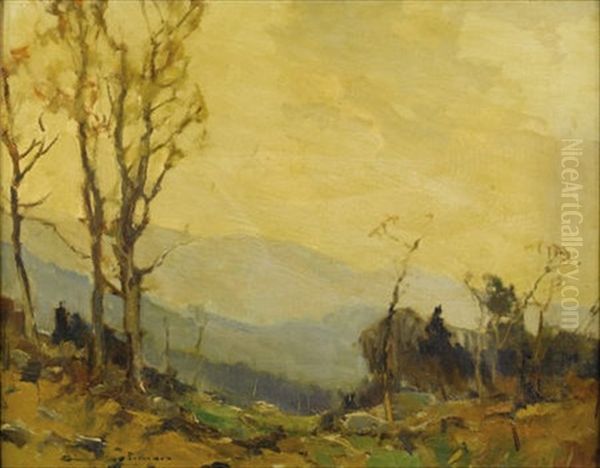 Lone Pasture - view 1