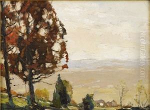 Oak Tree On The Hill