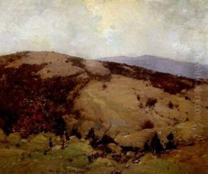 Hillside Landscape Hillside Landscape