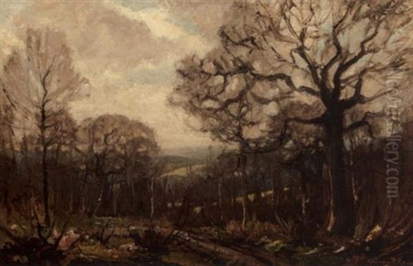 Landscape With Distant Valley - view 1