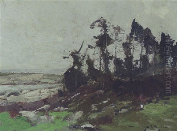 Pines On Hillside - view 1