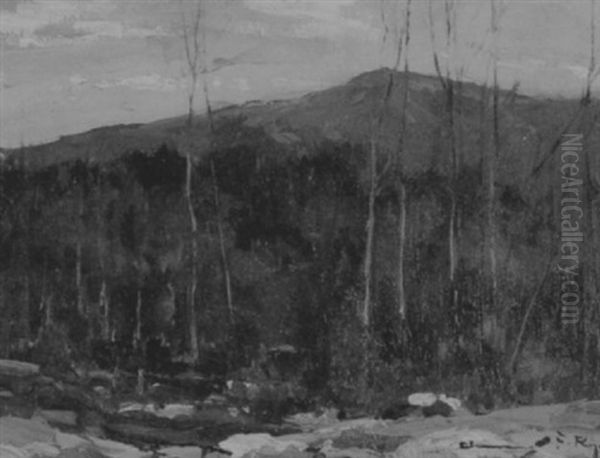 Mt. Monadnock, Late Autumn - view 1