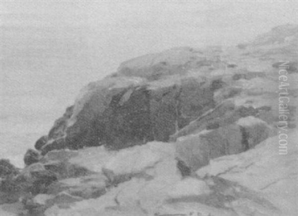Promontory Point - view 1