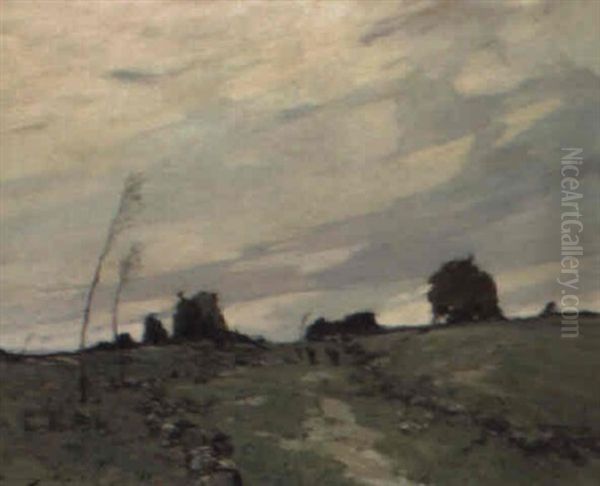 Windy Hill - view 1