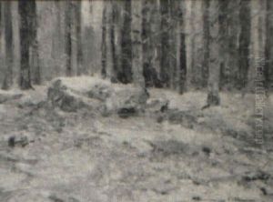 Woodland Woodland