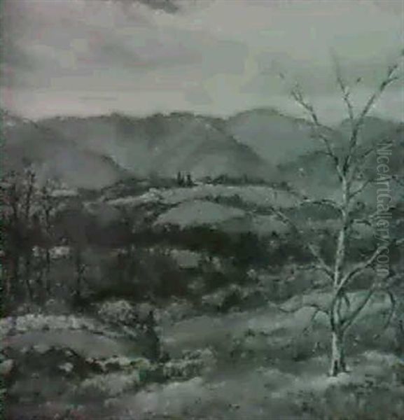 An Extensive Mountainous Landscape - view 1