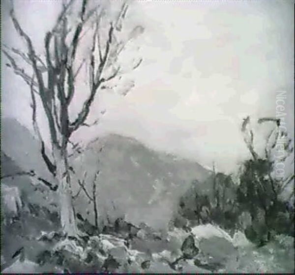 Mountain Landscape - view 1
