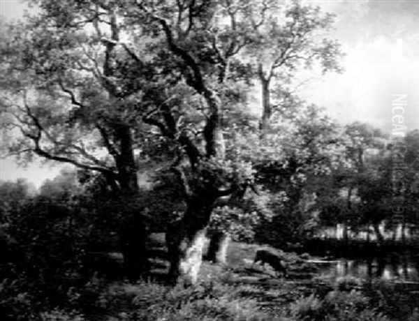 Stag Watering In A Summer Landscape - view 1