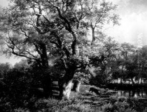 Stag Watering In A Summer Landscape by James de Ryk