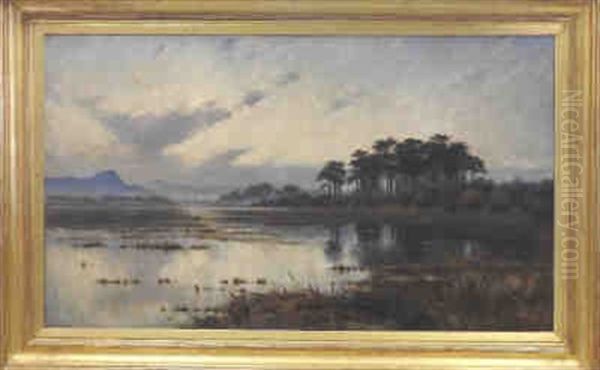 Extensive River Landscape - view 1