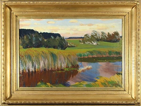 Summer Landscape With A Marsh - view 1