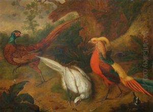 Two Common Pheasants, A Golden Pheasant And A Pied Wagtail In A Landscape by Peter (Pieter Andreas) Rysbrack
