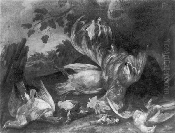 A Stoat Amongst A Cockerel And Other Birds In A Wooded Landscape - view 1