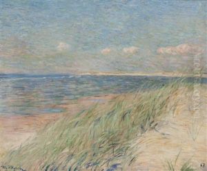 Les Dunes De Zwin, Knokke by Theo van Rysselberghe