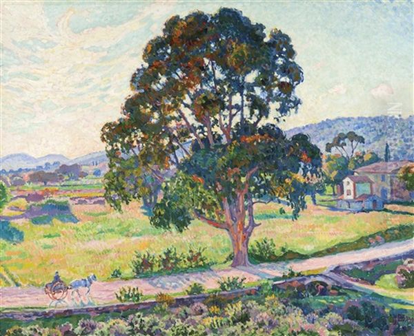 L'eucalyptus Sur La Route De Bormes - view 1