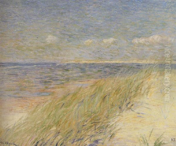 Les Dunes Du Zwin, Knokke - view 1