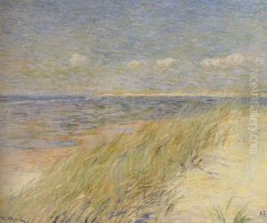 Les Dunes Du Zwin, Knokke