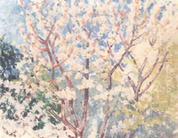 Cerisiers En Fleurs - view 1