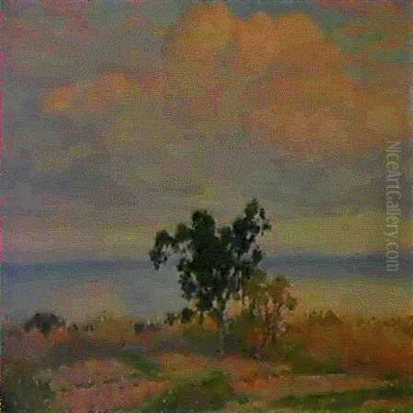 La Rade De Bormes (nuages Rouges) - view 1
