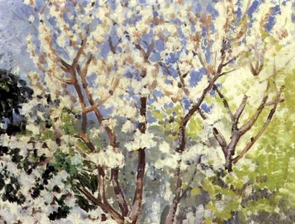 Cerisiers En Fleurs - view 1