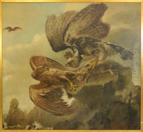 Aigle De Chasse - view 1