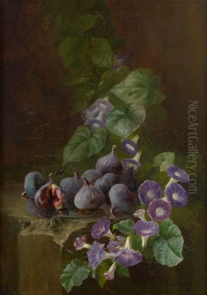 Composition Aux Figues Et Liserons Des Haies - view 1