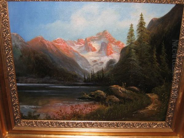 Mountain Lake - view 1