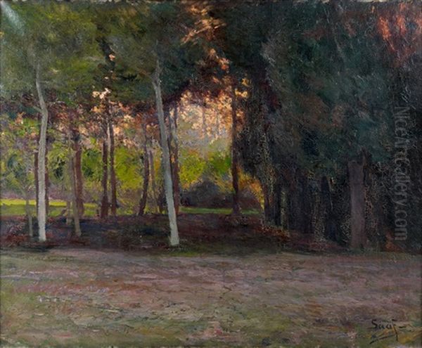 Le Sous Bois - view 1