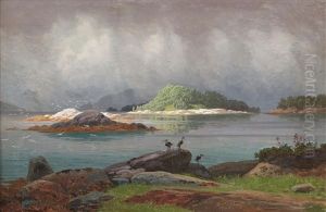 Hegrer Og Maker Ved Moldefjord