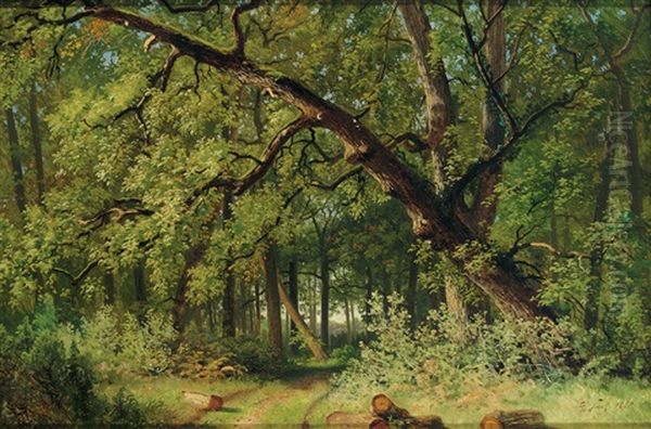 Waldlandschaft Bei Fontainebleau Mit Flirrendem Lichteinfall - view 1