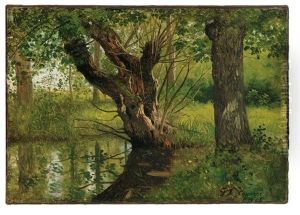 Altwasser Mit Knuppelweide