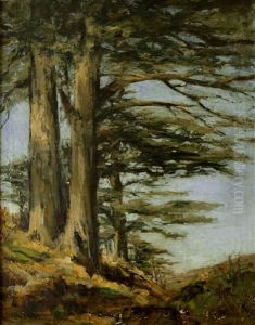 Le Cedre Le Cedre