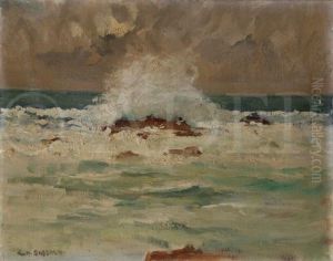 Bord De Mer Agitee Bord De Mer Agitee