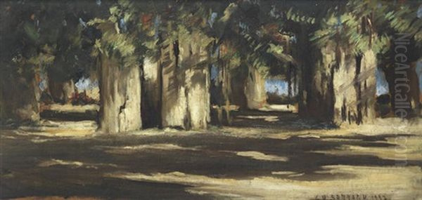 Trees - view 1