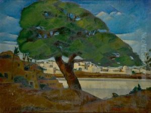 Le Vieux Cycomore De Rod-el-farag, Egypte
