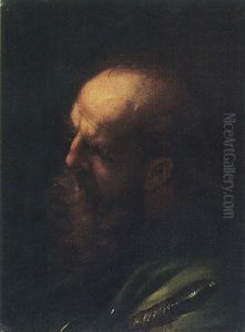 Saint Paul by Andrea Sacchi